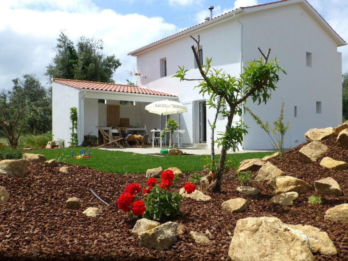 Casa Do Olival Villa Фигейро дос Виньос Екстериор снимка